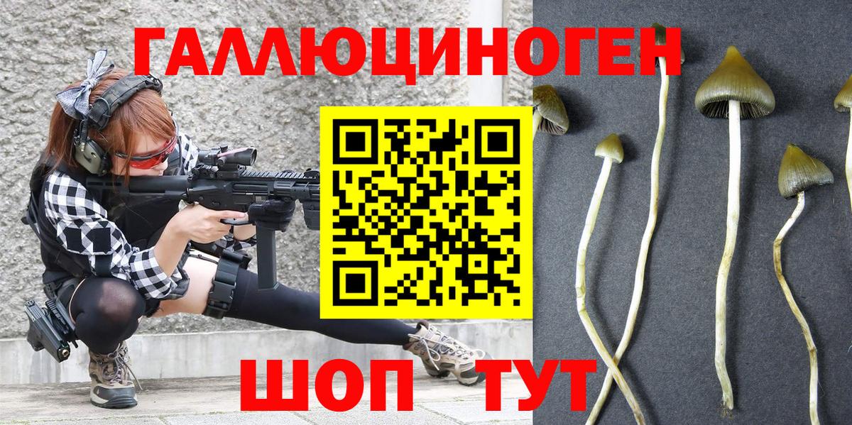 Галлюциногенные грибы MAGIC MUSHROOMS  Псилоцибиновые грибы Magic Shrooms  Вход с VPN  Новоуральск 